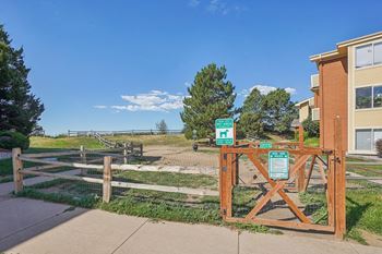 Dog park
